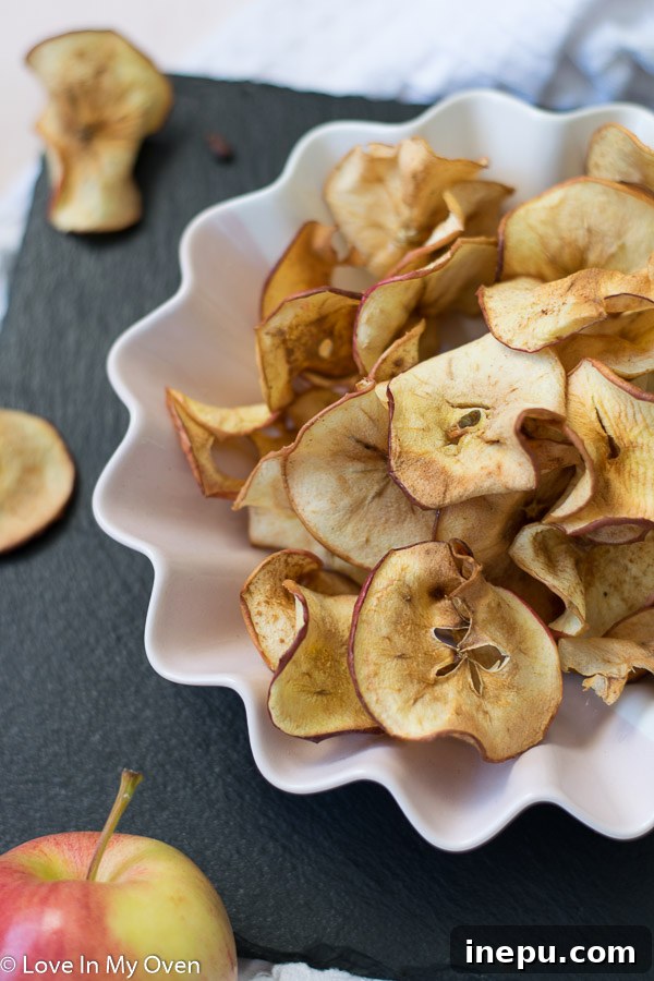 Close-up of crispy air fryer apple chips with cinnamon