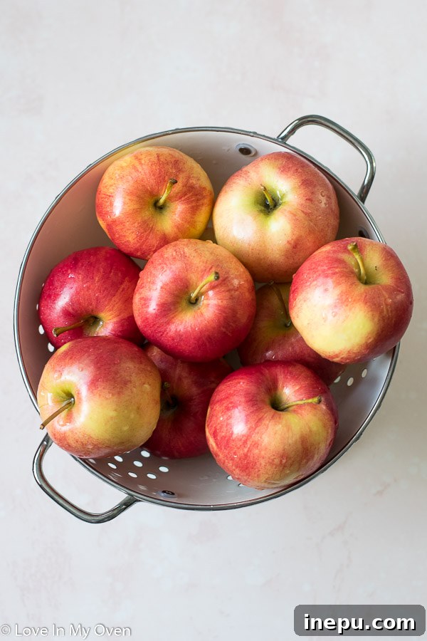 Apple slices being prepared for air frying