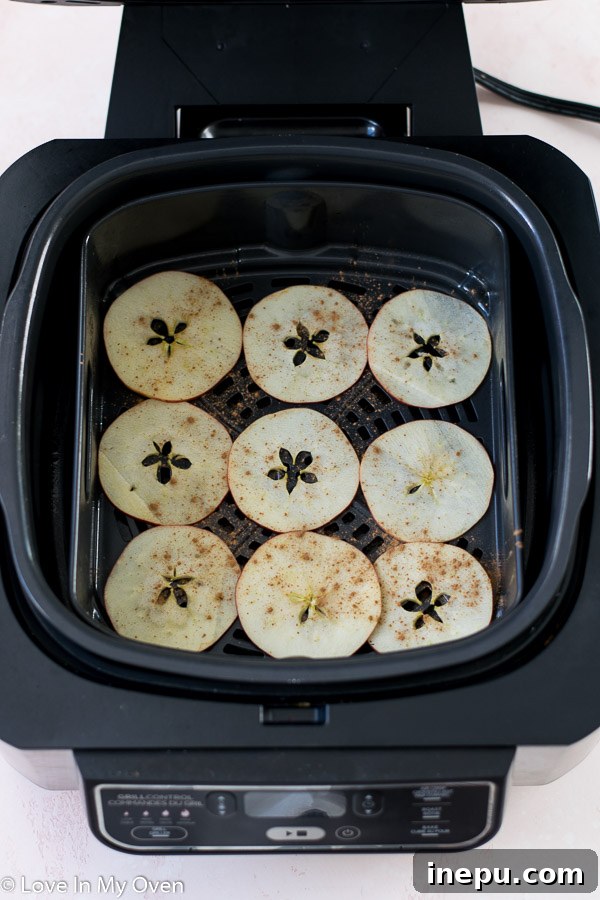 Cinnamon-dusted apple slices cooking in an air fryer basket