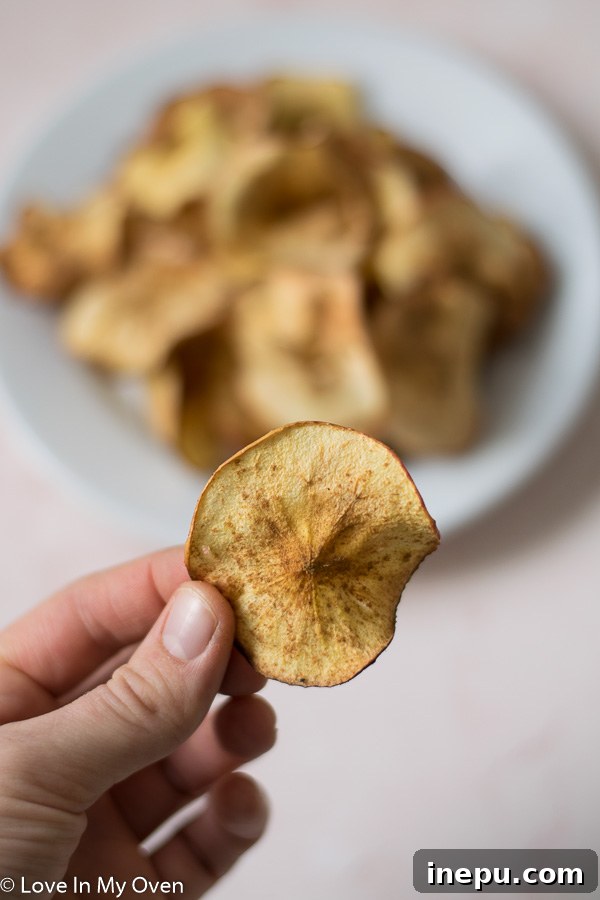 Finished air fryer apple chips on a white plate