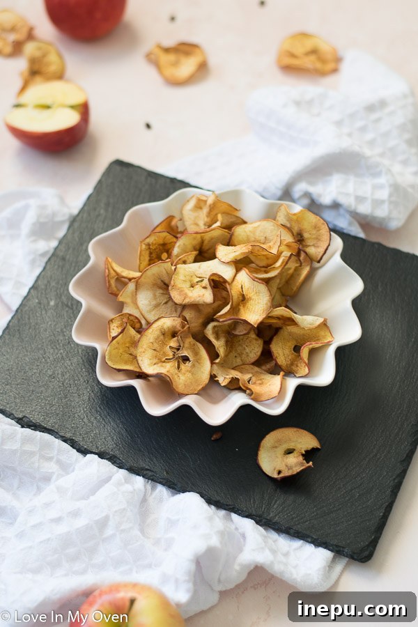 A basket full of fresh air fryer apple chips