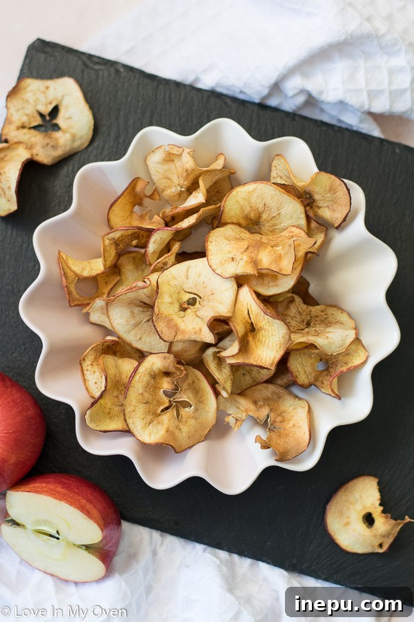 Air fryer apple chips arranged beautifully with cinnamon