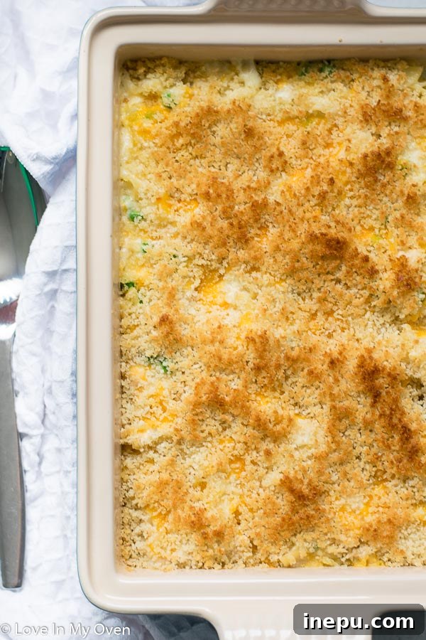 Golden Cheesy Tuna Bake 3 Creamy Cheesy Tuna Casserole dish
