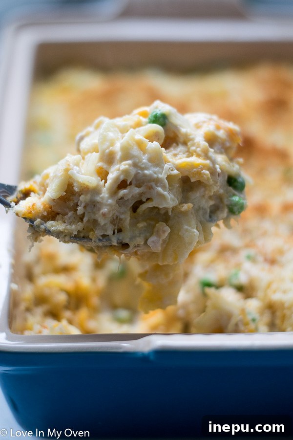 Golden Cheesy Tuna Bake 7 Close-up of baked Cheesy Tuna Casserole