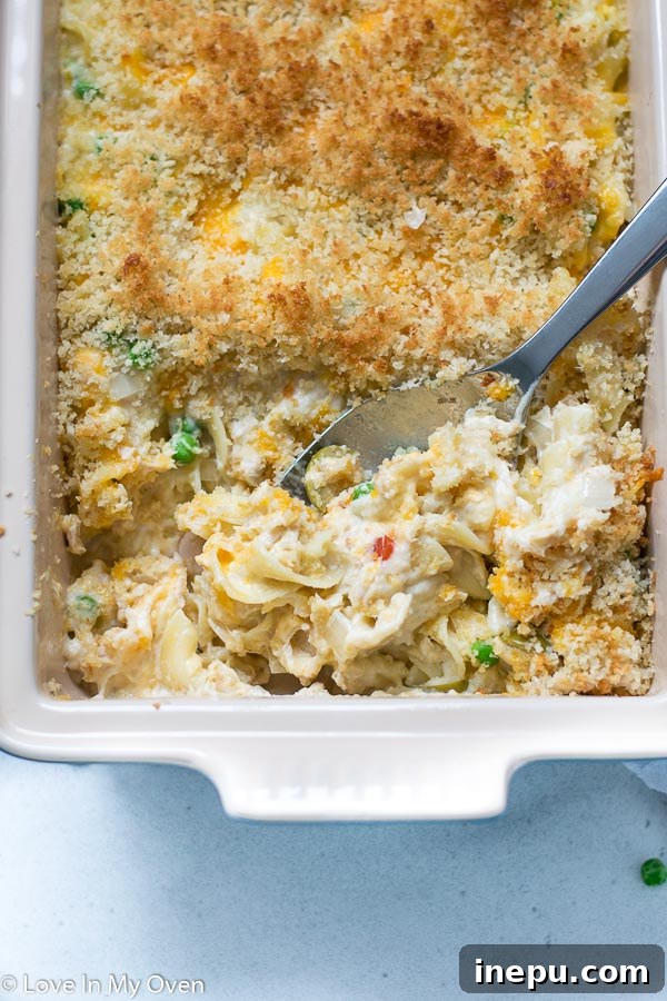 Golden Cheesy Tuna Bake 8 Serving spoon lifting Cheesy Tuna Casserole