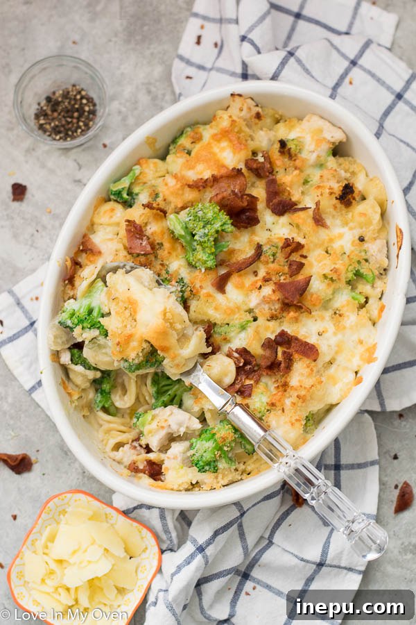 Ultimate Chicken Broccoli Pasta Casserole 2 Deliciously golden chicken and broccoli pasta bake in a large casserole dish, fresh from the oven