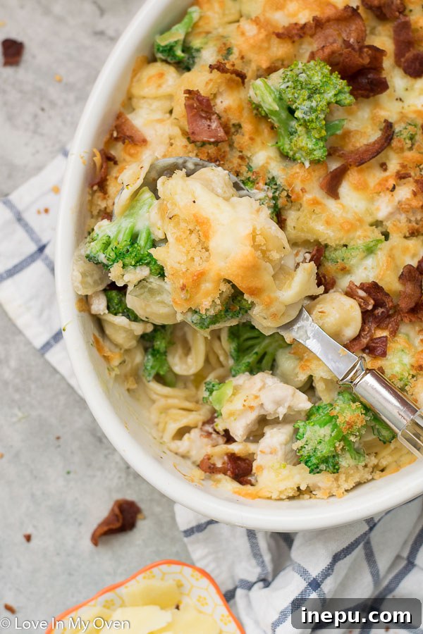 Ultimate Chicken Broccoli Pasta Casserole 3 Close-up of a creamy chicken and broccoli pasta bake in a baking dish