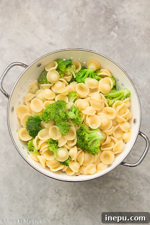 Ultimate Chicken Broccoli Pasta Casserole 5 Broccoli florets being added to boiling pasta in a pot