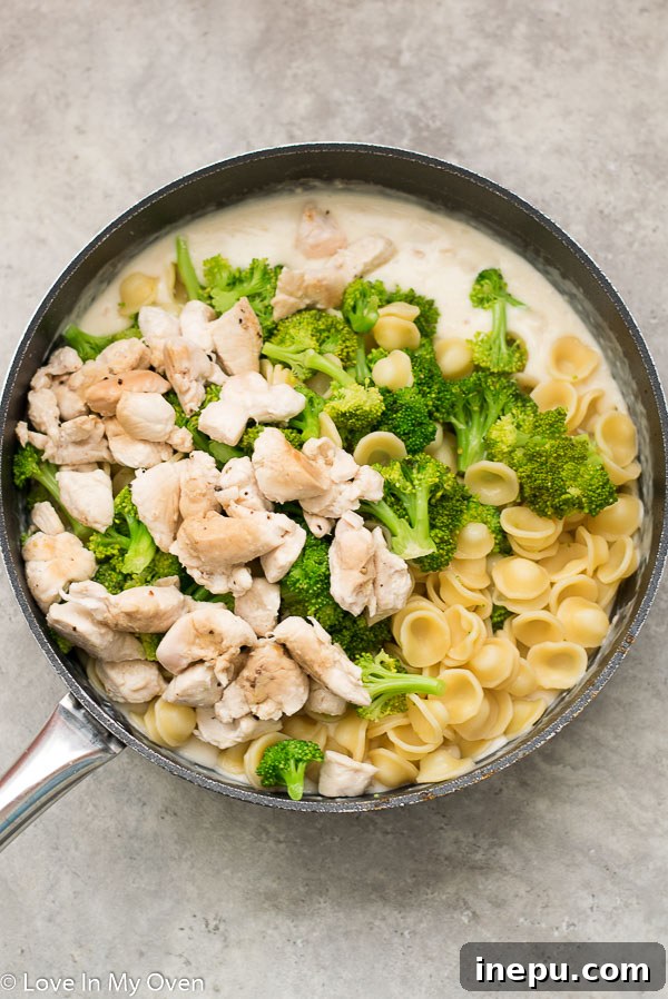 Ultimate Chicken Broccoli Pasta Casserole 6 Chicken, broccoli, and pasta tossed in creamy sauce, ready for baking in a casserole dish