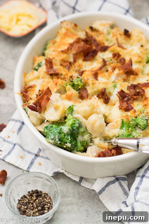 Ultimate Chicken Broccoli Pasta Casserole 7 Close-up of the finished chicken and broccoli pasta bake with golden crust and melted cheese