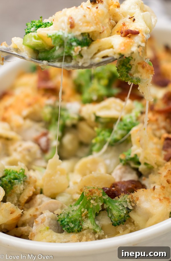 Ultimate Chicken Broccoli Pasta Casserole 9 Close-up of a serving of chicken and broccoli pasta bake on a white plate