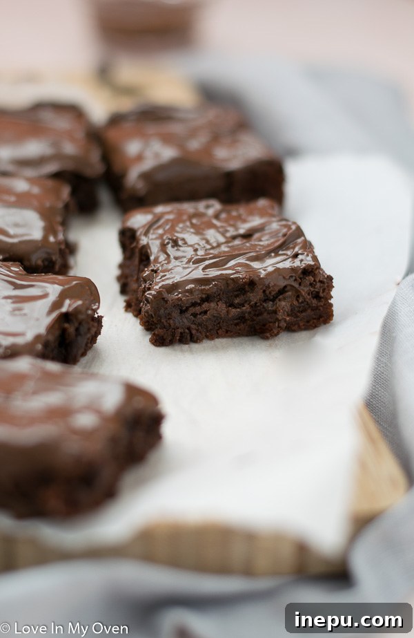 Effortless 3-Ingredient Nutella Brownies 9 Several frosted 3-ingredient Nutella brownie squares arranged artfully.