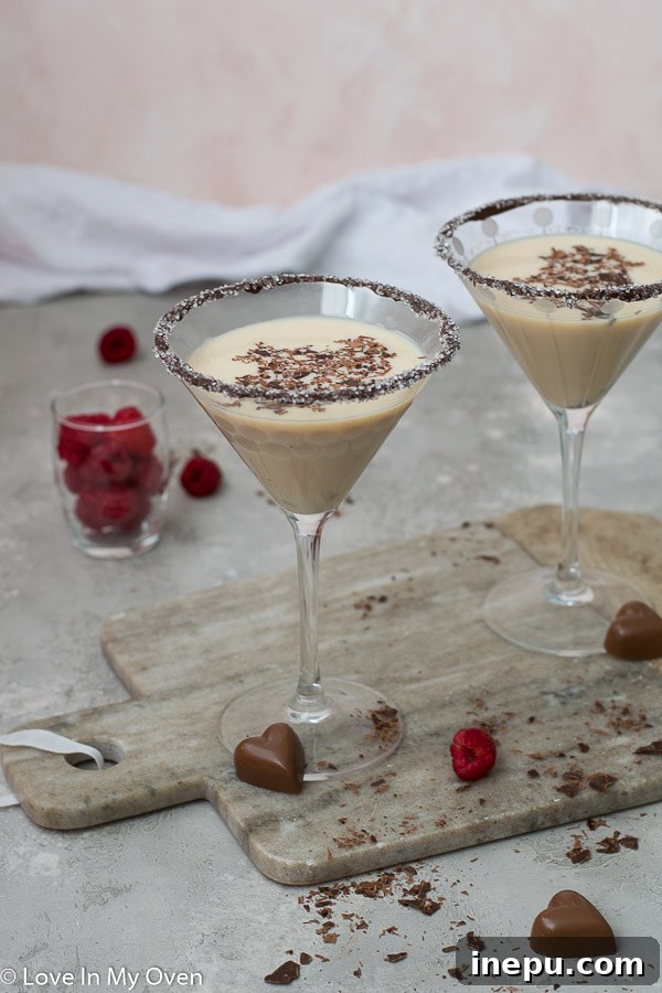 Midnight Chocolate Martini 6 Beautifully presented chocolate vodka martini with a focus on the smooth, creamy texture.