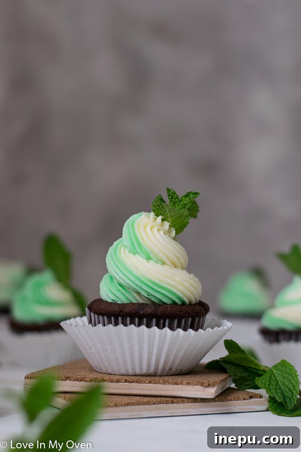 Minty Chocolate Dream Cupcakes 2 Delicious Mint Chocolate Cupcakes topped with green and white mint frosting, perfect for any celebration.