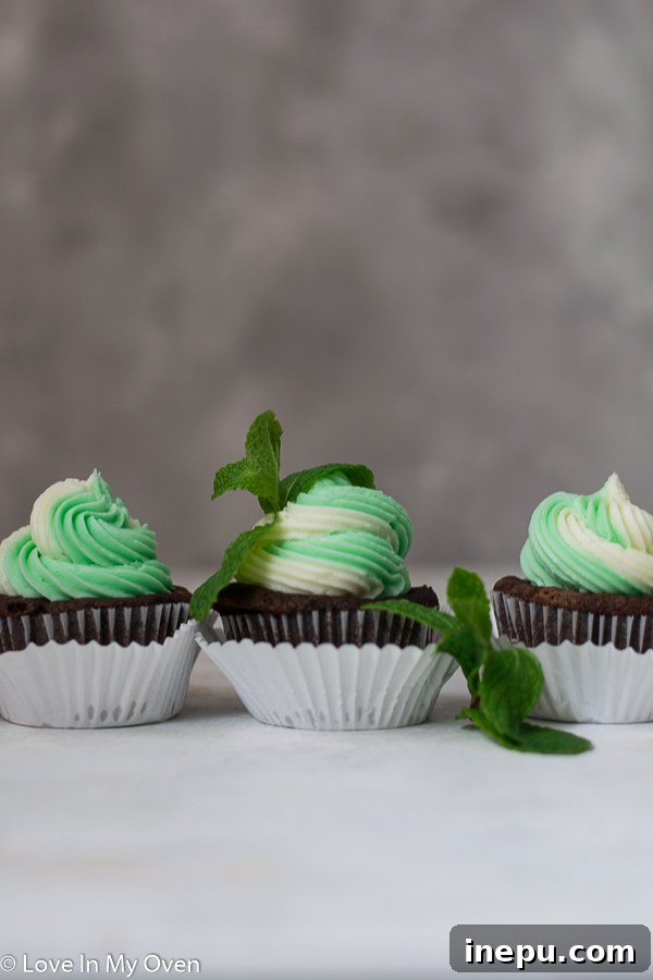 Minty Chocolate Dream Cupcakes 3 Close-up of freshly baked mint chocolate cupcakes with two-toned frosting and chocolate shavings.