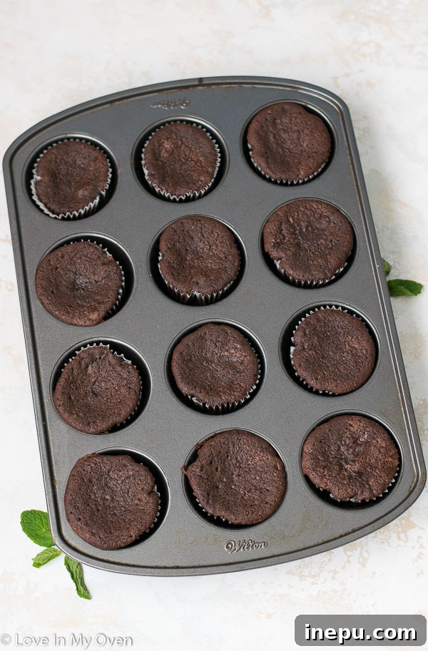 Minty Chocolate Dream Cupcakes 5 Freshly baked chocolate mint cupcakes cooling on a wire rack.