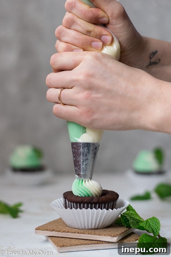Minty Chocolate Dream Cupcakes 6 A selection of mint chocolate cupcakes, some frosted with two-toned green and white mint buttercream, others plain.