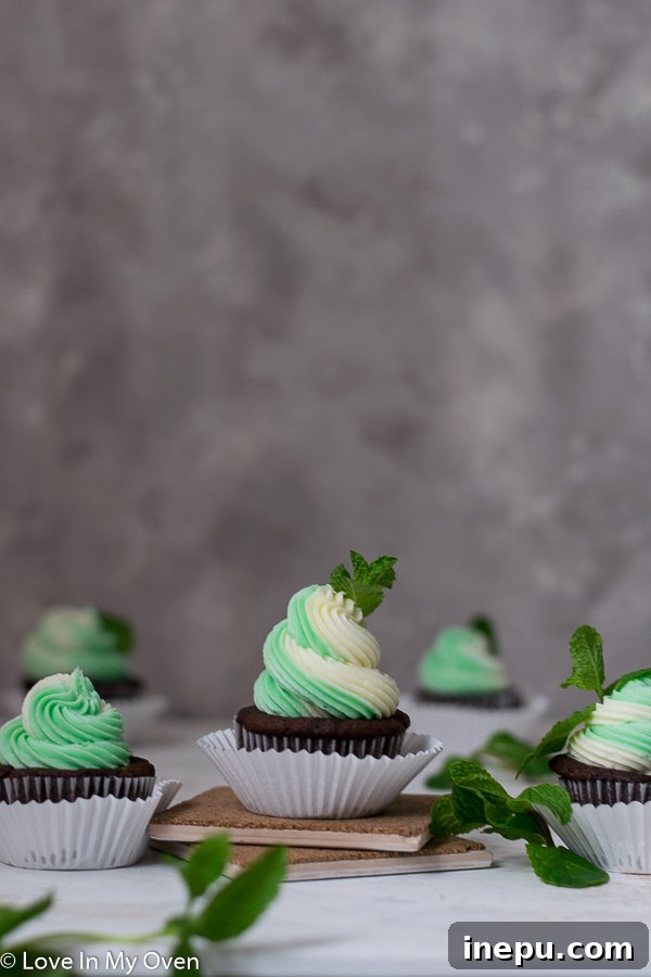 Minty Chocolate Dream Cupcakes 7 A pair of mint chocolate cupcakes, beautifully frosted and garnished with a small chocolate square.
