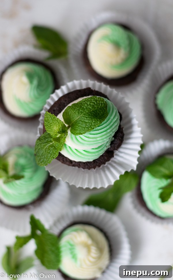 Minty Chocolate Dream Cupcakes 8 Overhead view of several mint chocolate cupcakes on a white surface, showcasing their delicious frosting.