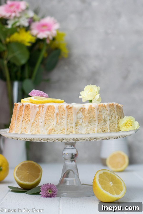 homemade lemon angel food cake