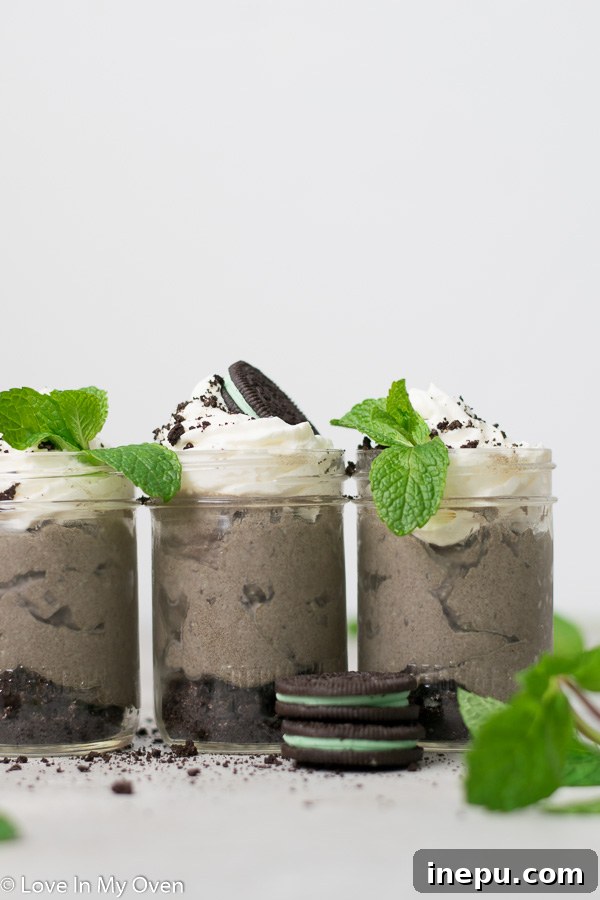 Close-up of Mint Oreo Mousse with crushed Oreos and whipped cream