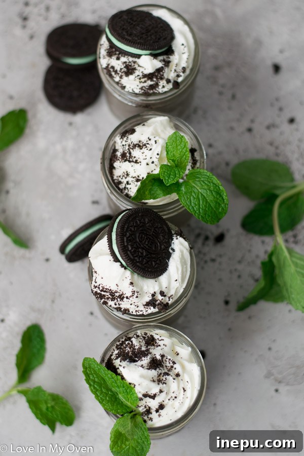 Two jars of Mint Oreo Mousse with spoons, garnished with fresh mint