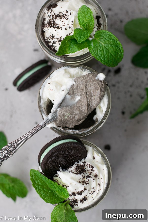 Close-up of Mint Oreo Mousse showing texture