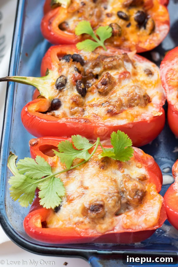 Smoky Chorizo Stuffed Bell Peppers 7 Freshly baked Chorizo Stuffed Peppers with melted cheese