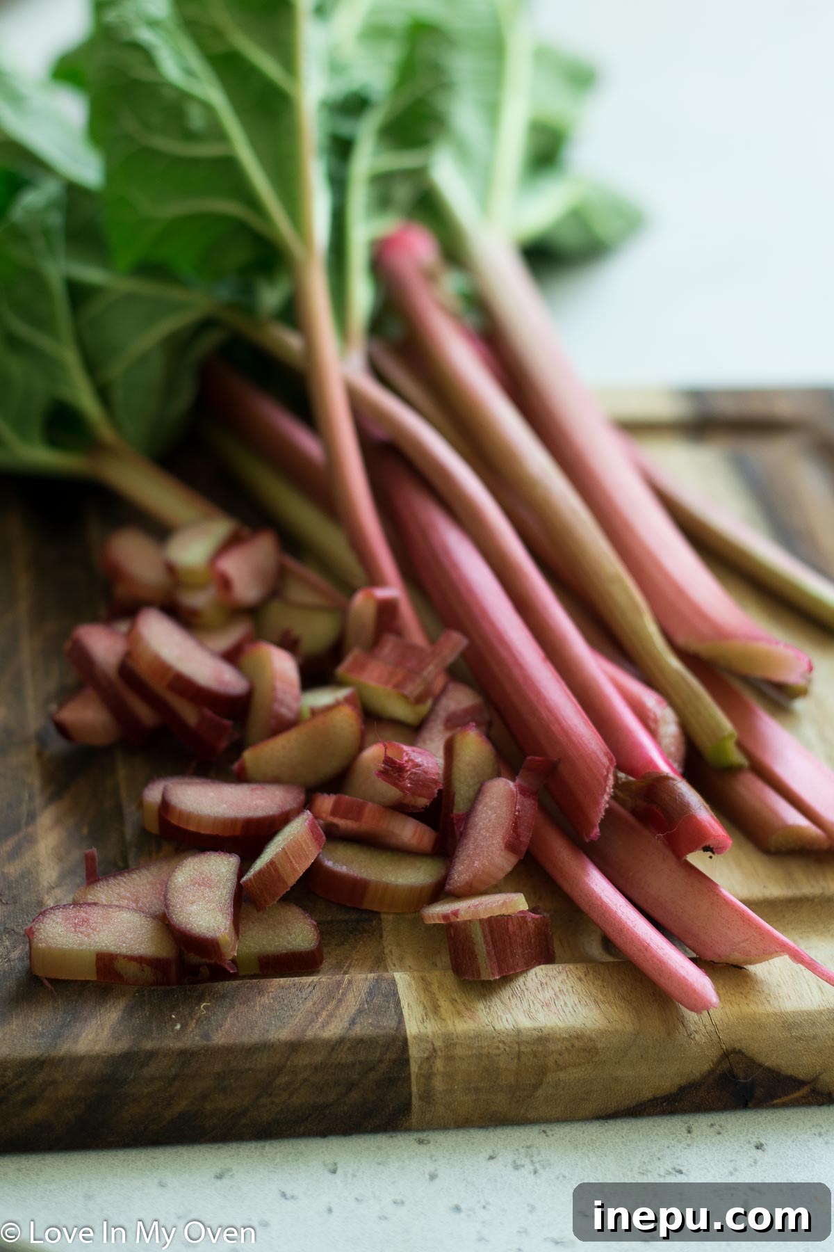 Chopped rhubarb, honey, and lemon juice combined in a cooking pot