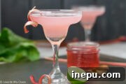 Rhubarb Gimlet with fresh rhubarb stalks, a refreshing summer cocktail