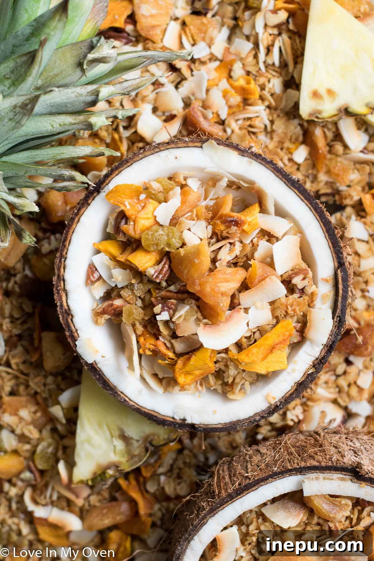 Tropical Paradise Granola 2 Crunchy Homemade Tropical Granola with Exotic Fruits