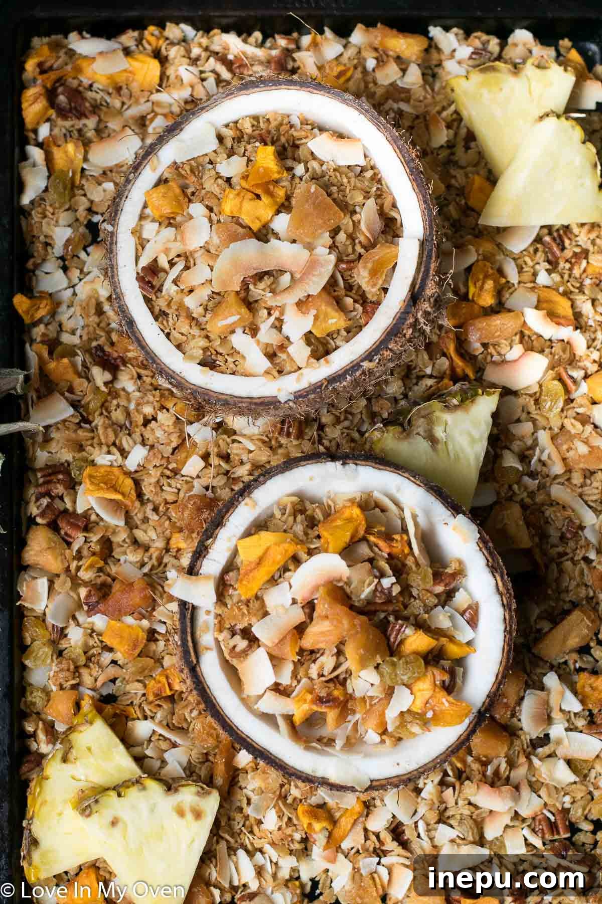 Tropical Paradise Granola 3 Delicious Homemade Tropical Granola for Breakfast