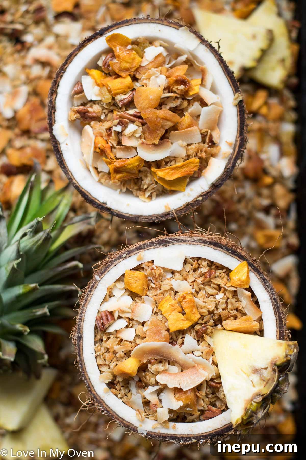 Tropical Paradise Granola 7 Serving Suggestions for Tropical Granola