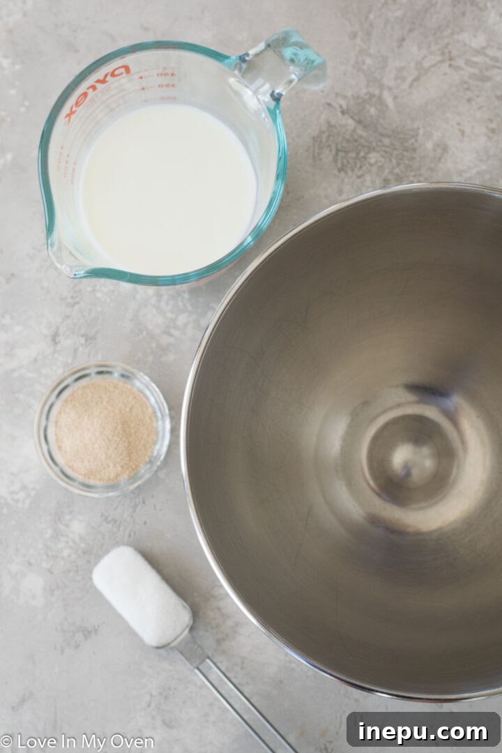 Irresistible Nutella Swirl Rolls 4 yeast activation process