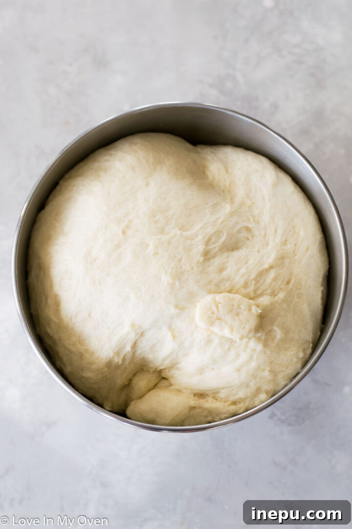 Irresistible Nutella Swirl Rolls 7 risen dough ready for shaping
