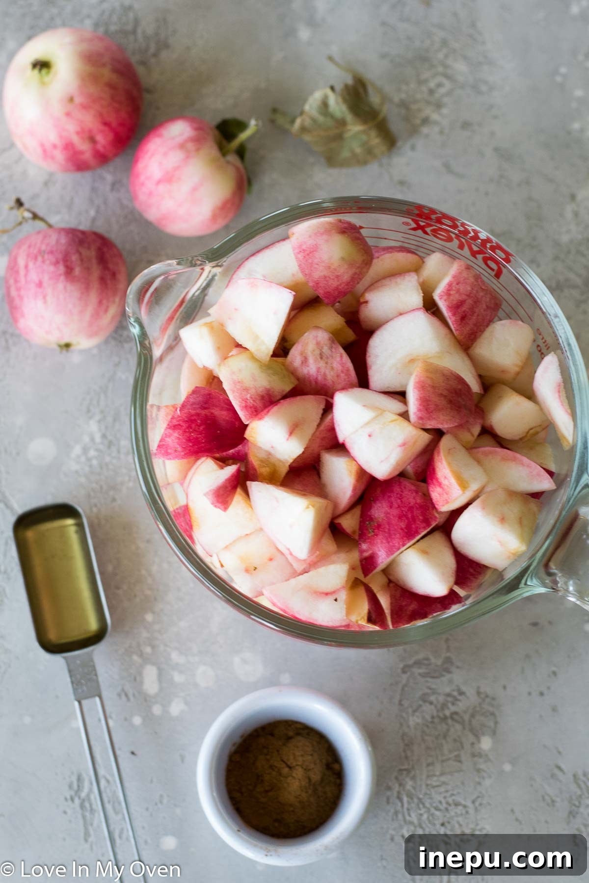Ingredients for apple fruit leather: chopped apples, honey, cinnamon, and water.