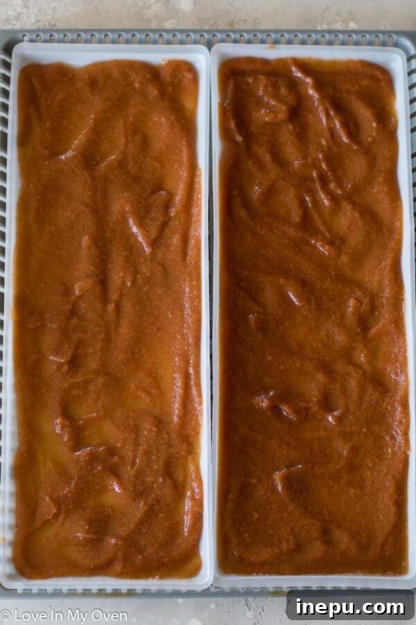 Partially dried apple fruit leather on a dehydrator tray.