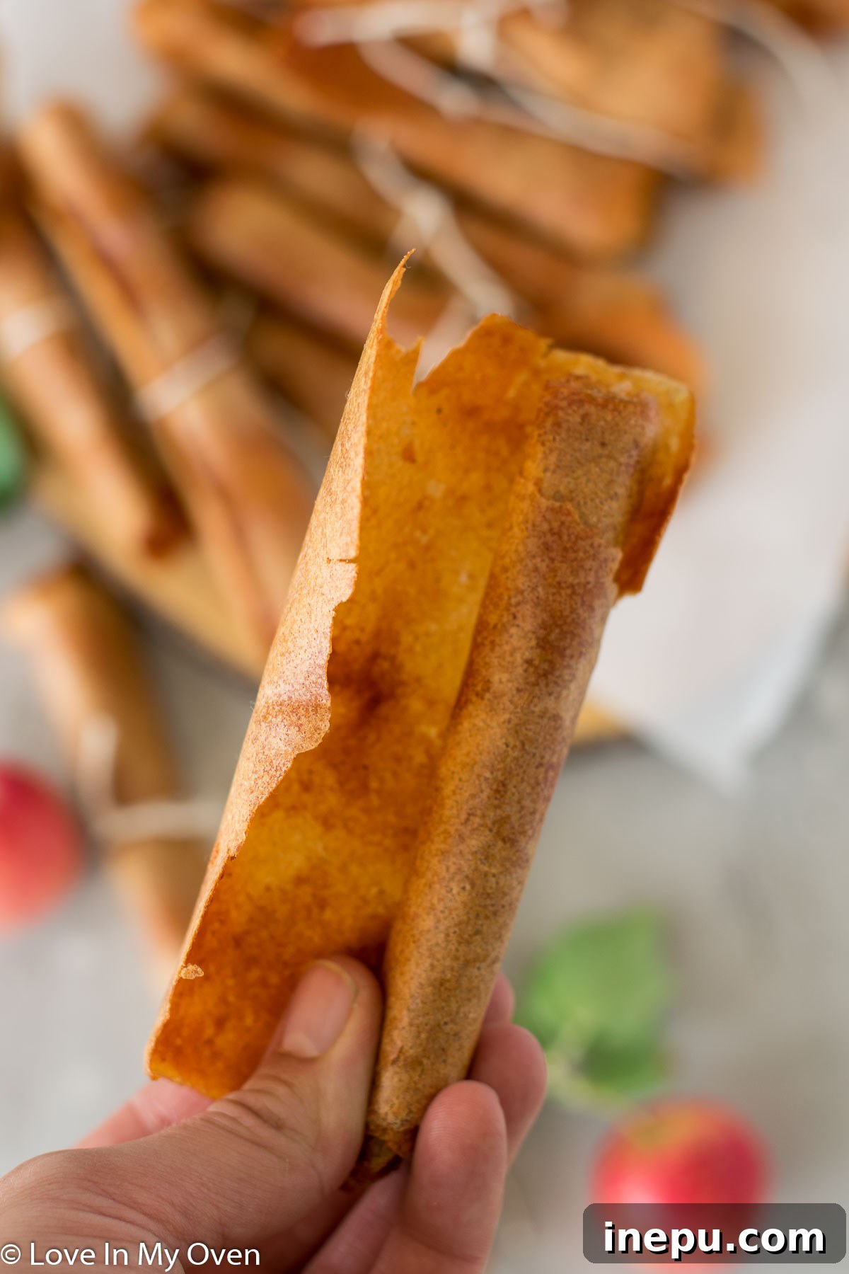 A collection of apple fruit leather rolls in plastic wrap, ready for storage.