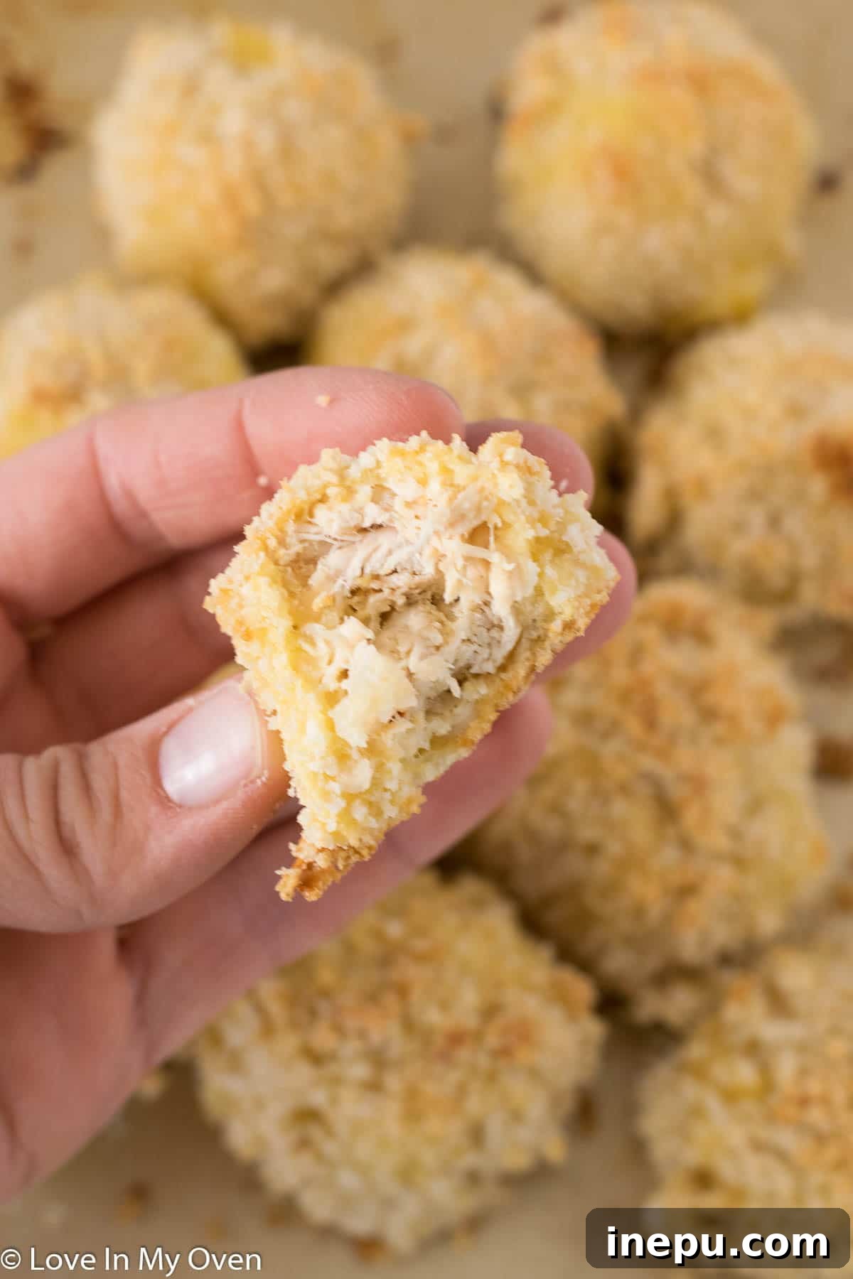 Yuletide Charcuterie Spectacle 4 Homemade Turkey Cheese Balls