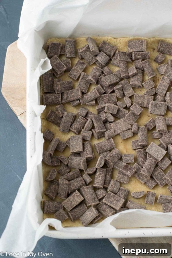 Plant-Based Dream Bars 5 Layer of vegan chocolate chips over the crust of magic bars.