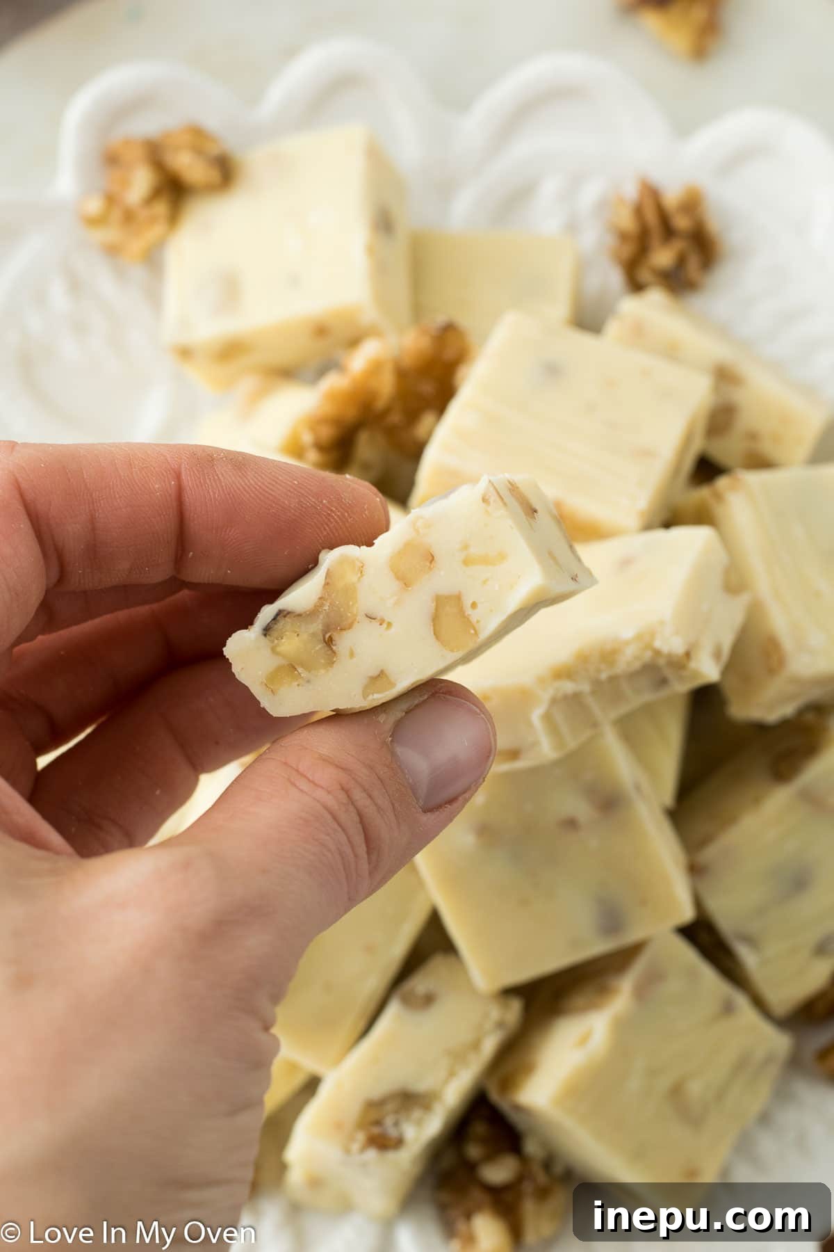 Overhead shot of maple walnut fudge in a baking pan, showing the generous topping of walnuts.