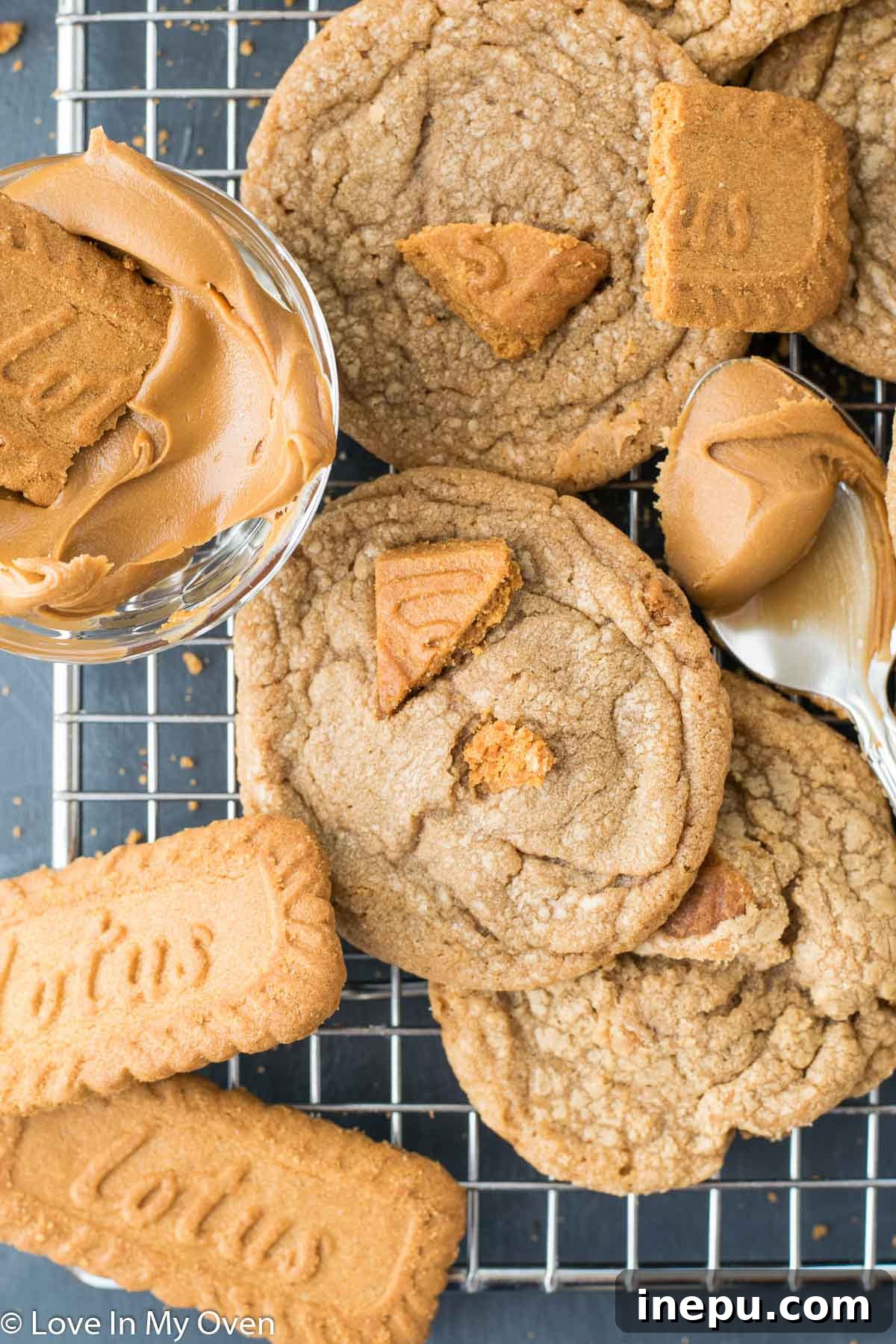 Stack of cookie butter cookies with a bite taken out