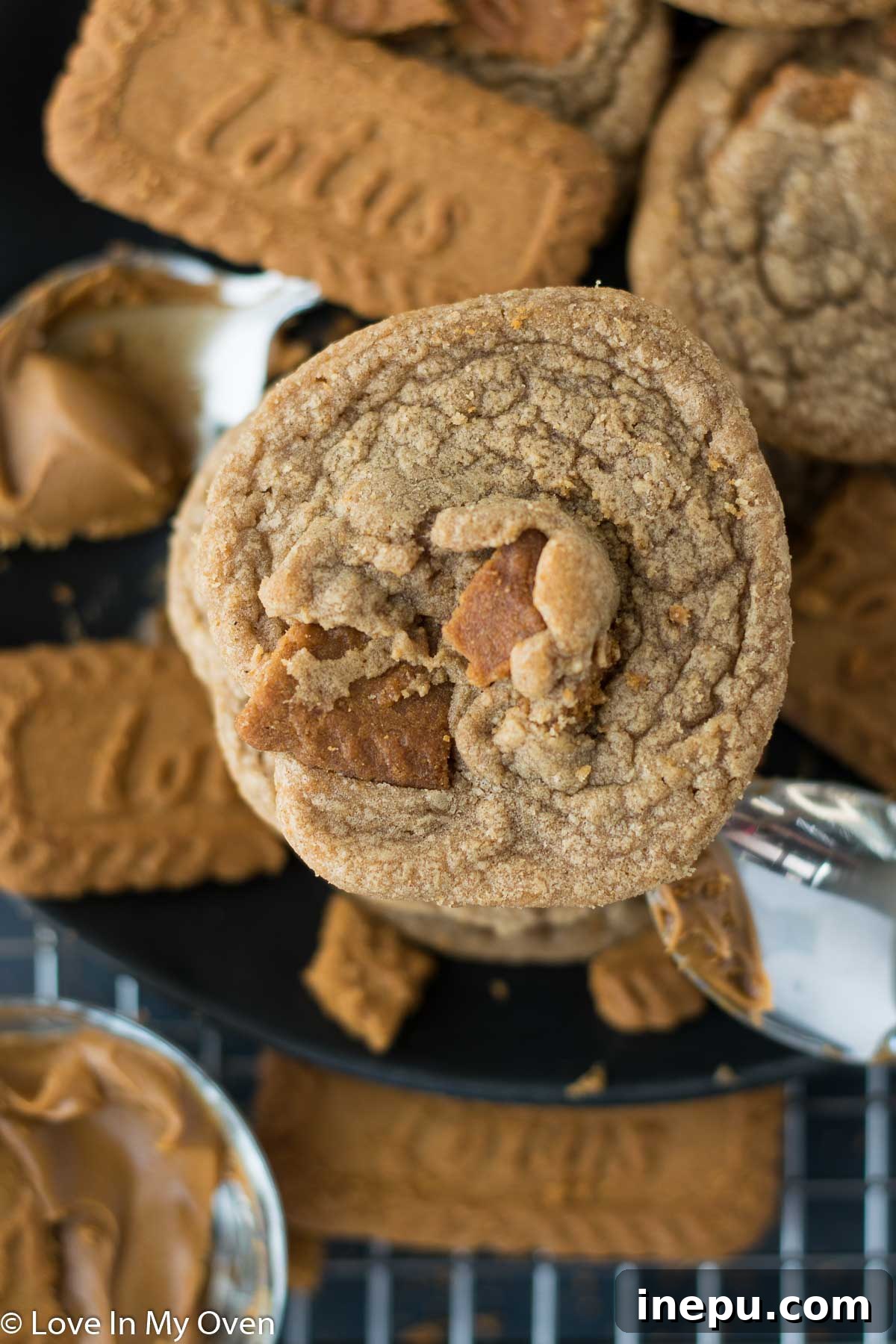 Two cookie butter cookies on a plate with milk