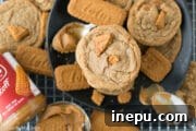 Cookie Butter Cookies