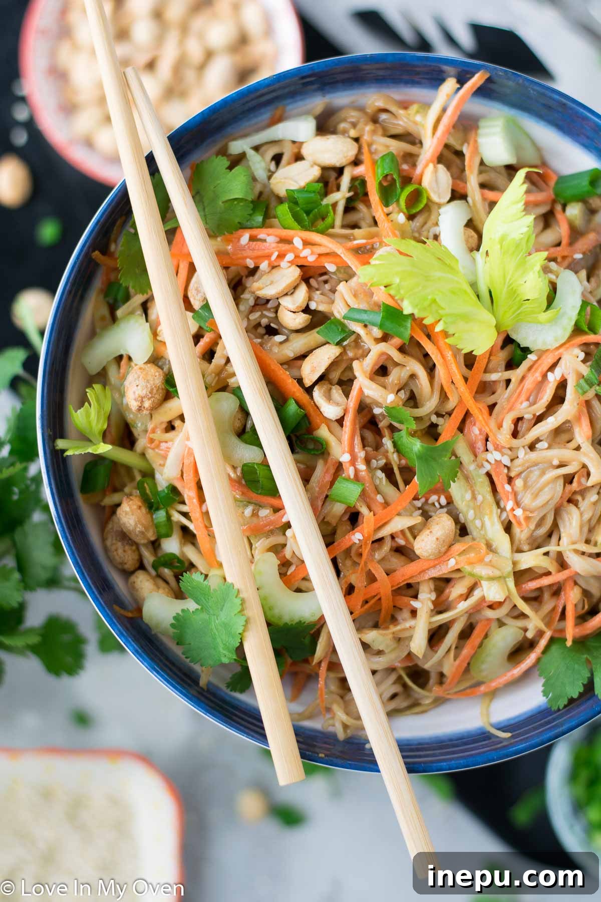Close-up of a bowl of sesame peanut noodle salad garnished with peanuts