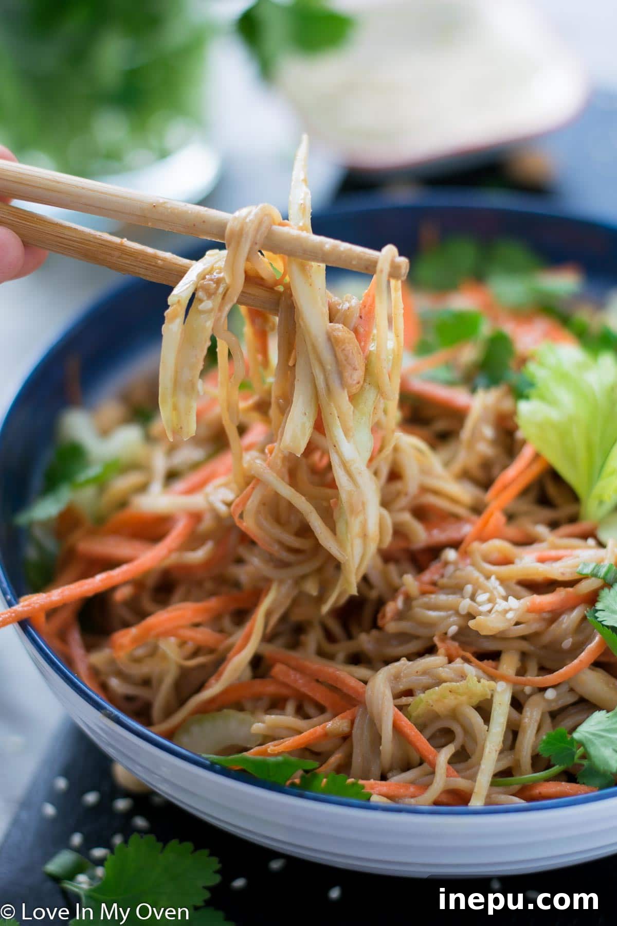 Overhead view of sesame peanut noodle salad in a large serving bowl
