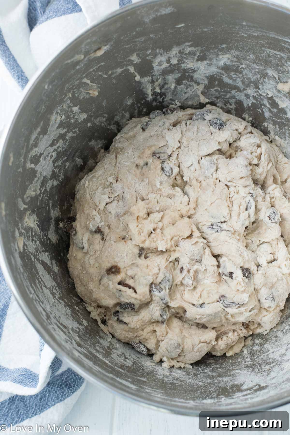 No-knead cinnamon raisin walnut bread dough rising in a bowl covered with a damp towel.
