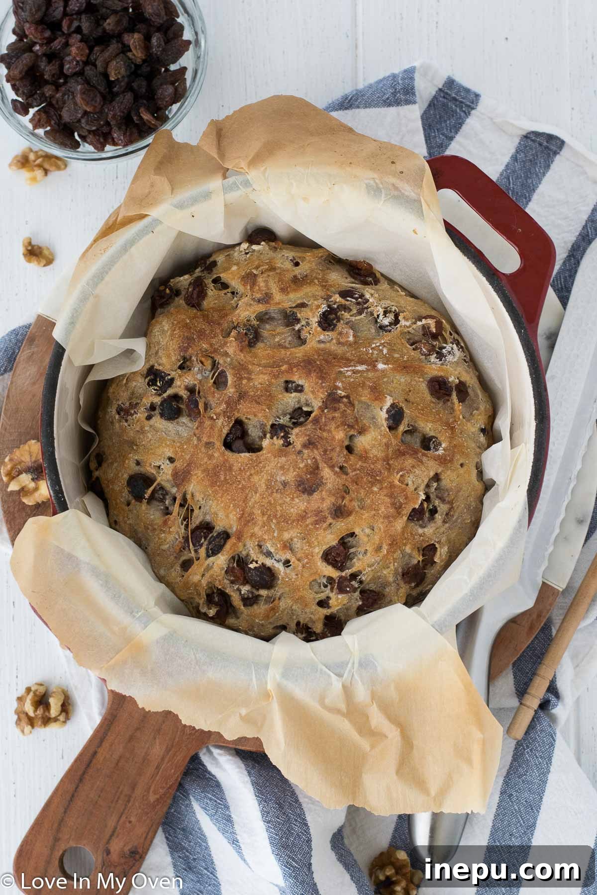 A thick slice of cinnamon raisin walnut bread showing its fluffy interior and distribution of raisins and walnuts.