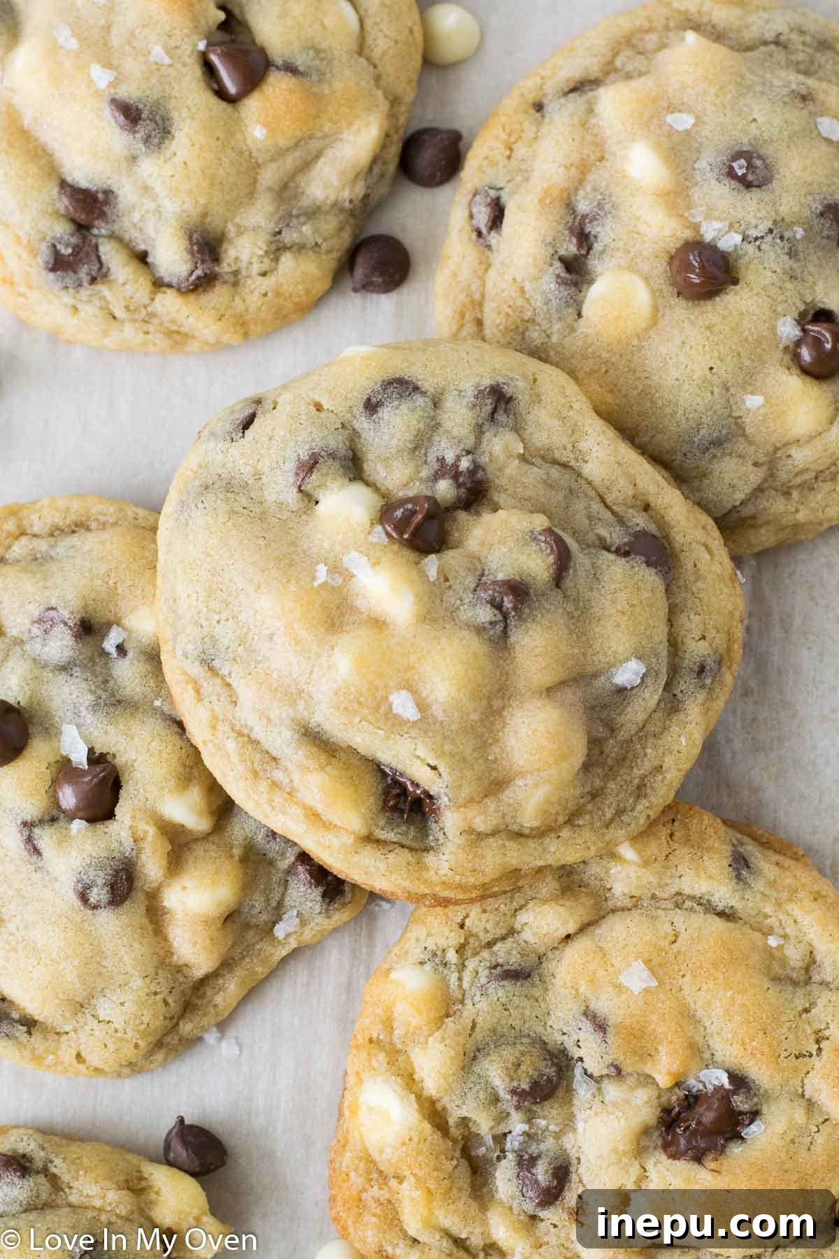Giant Chocolate Chunk Cookies 2 jumbo chocolate chip cookies