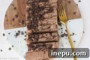 chocolate semifreddo top down view